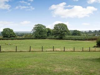 Bramley Lodge - Uk38384 - Lyonshall - 4