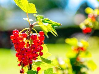 Holiday home Sandefjord II - Sandefjord - 5