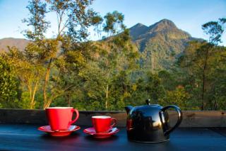 The Backyard Balangoda - 2