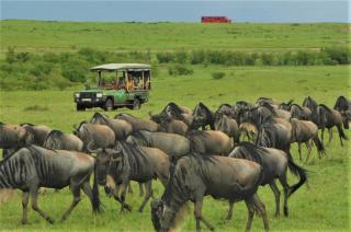 Castel Mara Camp - Masai Mara - 7
