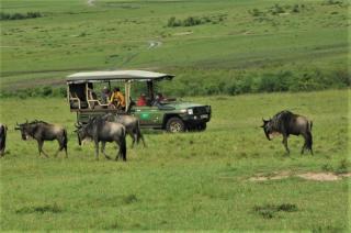 Castel Mara Camp - Masai Mara - 5