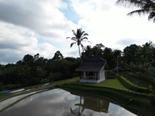 KUBU D'UME HOMESTAY - 1