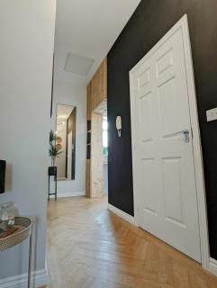 Spacious, Mid-Century 1 bedroom Apartment - 1