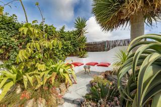 Finca Botanico Garden Apartment - Guatiza - 6
