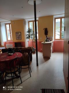 Afrique Appartement de 42m2 à la montagne - Eaux-Bonnes - 4