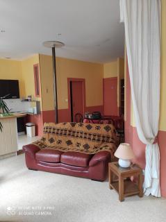 Afrique Appartement de 42m2 à la montagne - Eaux-Bonnes - 8