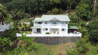 Bottle Palm Villa - 5