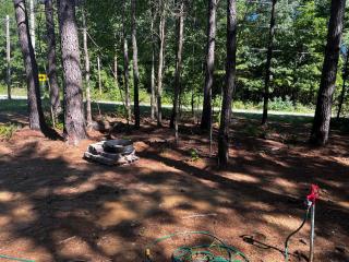 Knotty Pines Cabin near Kentucky Lake, TN - 3