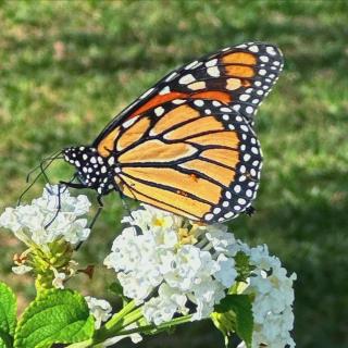 Apartamento Marysol - 3