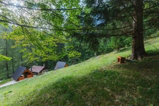 Nature escape woodhouse - Žirovnica - 7