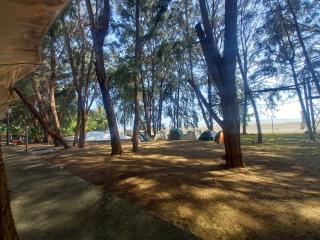 ZamLan Gold Coast Morib Intl Resort - Studio - 8