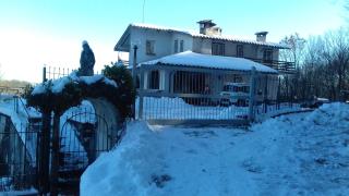 Villa Ambra - - 5