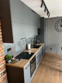 Apartament Grey Love w Czeladzi, FV, 8km do Katowic - Czeladź - 5
