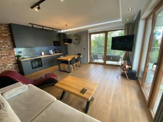 Apartament Grey Love w Czeladzi, FV, 8km do Katowic - Czeladź - 9