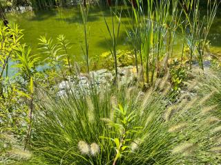 Ferienwohnung Landhaus Hohenstein, Schwimmteich, ruhige Lage - 3