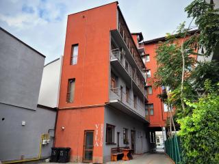 Vila Dorobantilor - Cluj-Napoca - 8