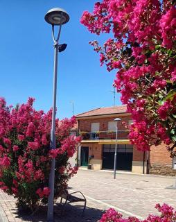 CASA ABUELA - Palacios de la Valduerna - 0