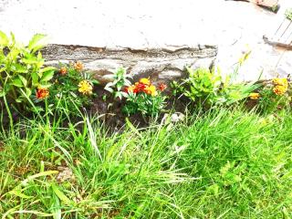 Casa Ionel si Dani - 2