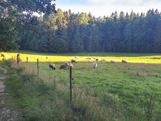 Holiday home LERUM II - Lerum - 5