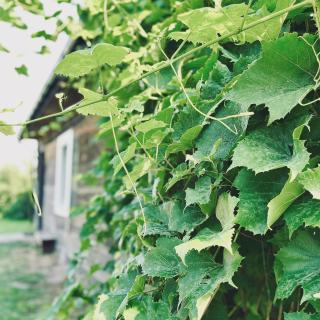 Bliska Wioska- Dom - 8