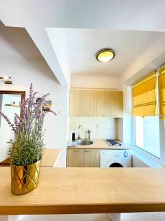 Boutique apartment in the Bucharest city center - Bucarest - 7