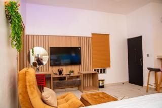 Maple studio+Gym+Snooker board Rhodabode Apt, Nile - Abuja - 1
