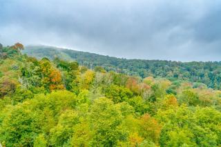 Reserve II 1-A - Sugar Mountain - 8