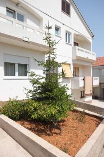 Apartments by the sea Kali, Ugljan - 8246 - Kali - 4