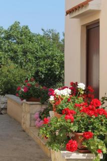 Apartments by the sea Veli Rat, Dugi otok - 436 - Veli Rat - 2