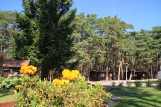 Ośrodek Portus - Międzywodzie - 0