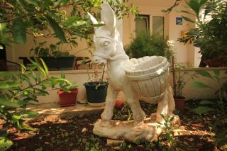 Apartments by the sea Vis - 2459 - 3