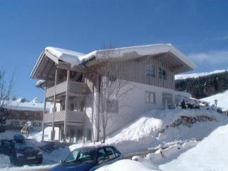 Chalet Birkenhof - Saalbach-Hinterglemm - 0