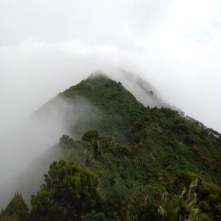 Santaviva Hotel - Kisoro - 2