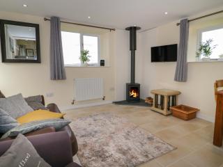 Bryn Dedwydd Cottage - Betws-y-coed - 6