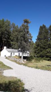 Torgoyle Cottage - Inverness - 0