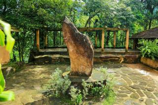 Rainforest Edge - 1