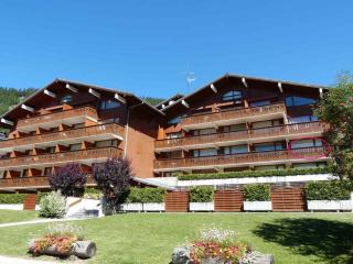 Studio cosy proche pistes et commerces, garage inclus, balcon exposé sud - FR-1-304-38 - La Clusaz - 9