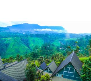 Hummingbird St.Clare Villas - Dimbula - 6