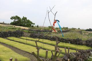 Jeju Gillime Pension - 2