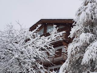 Appartement luxe 130m² avec sauna et jacuzzi, 3 chambres, La Tania - FR-1-513-41 - 6