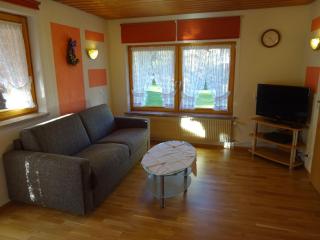 Schwarzwaldhaus Simmelehof - Lenzkirch - 4