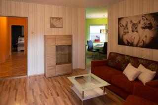 PrachtBude Mayrhofen - 8