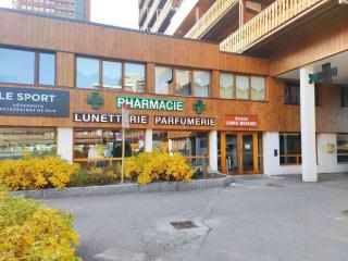 Appartement lumineux proche des pistes avec balcon et 2 chambres - FR-1-181-2665 - 8