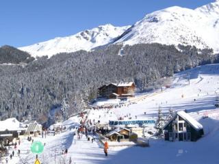 Studio cabine cosy au pied des pistes avec balcon - FR-1-557-115 - Les Adrets - 3