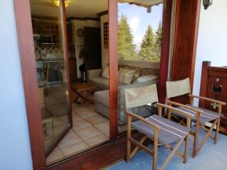 Pied des pistes, balcon, 6 pers, parking, animaux admis - FR-1-557-121 - Les Adrets - 8