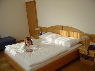 Pension Schlossblick - Nebersdorf - 3