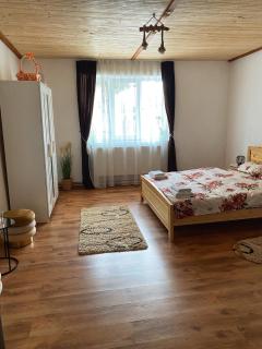 Casa Mari - Cîrţişoara - 8