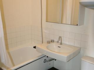 Appartement 2 pièces au pied des pistes avec balcon - FR-1-557-83 - Les Adrets - 4