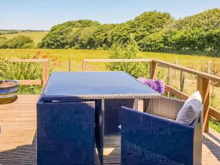 Hindscarth Apartment - Uk39610 - Davidstow - 9