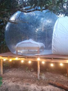 Glamping Amazonas - Leticia - 7